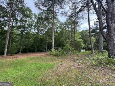 164 Holiday Road, Franklin GA 30217