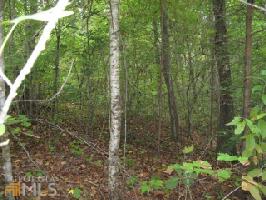 11  Shore Crest Dr Lot 11