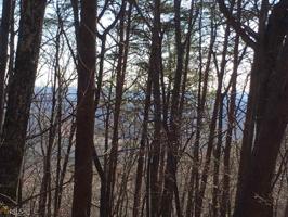 1108 1108 Oglethorpe Mountain Lot 1108 & 1109