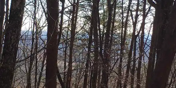 1108 1108 Oglethorpe Mountain Lot 1108 & 1109
