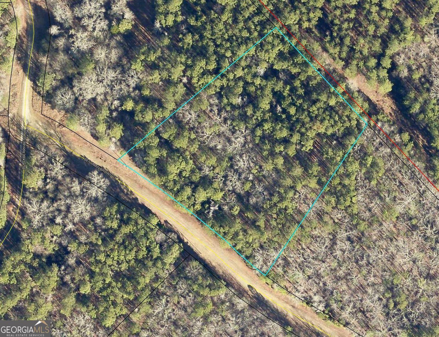 Image 3