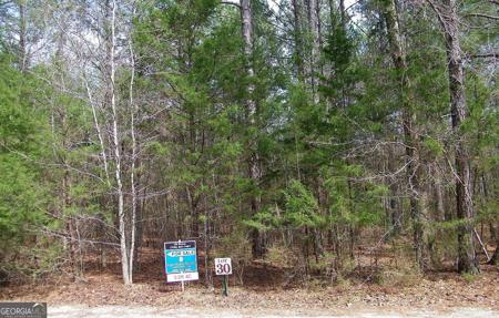 Lot 30 Benjamin Brown Court, Elberton GA 30635