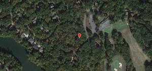 99 Tamarack Drive