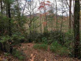 Lot 260 Flat Gap Rd