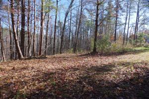 126 Bagwell Trl