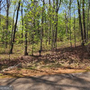 86 Edgewater Trail S, Toccoa GA 30577