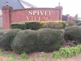 1933 1933 Spivey Village Cir