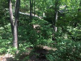 263 Hickory Trl