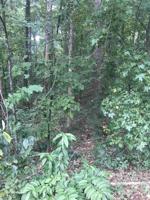Lot 39 Lake Club Dr