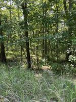 LOT 220 Scenic Way