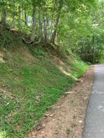 0 Mining Gap Trail