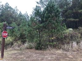 15 15 Fish Camp Lot 134