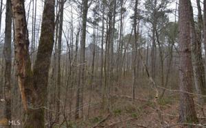 Lot 13 Bell Creek Estates