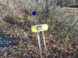 685 Lakeside