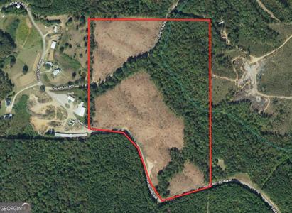 44.2 AC County Road 804 & 803, Wedowee AL 36278