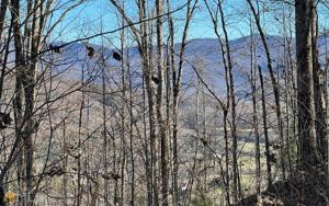 LOT 66J Mountain Harbour