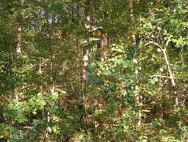 #120  Tugaloo Bay Subdivision Lot 120