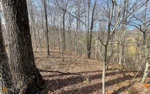 LOTS 81A & 82A Mountain Harbour