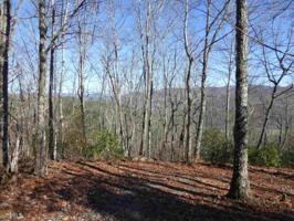 Lot 33 Ac Caesar Gap Rd