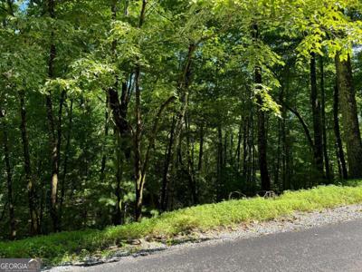C119C120 South Lake Drive, Ellijay GA 30540