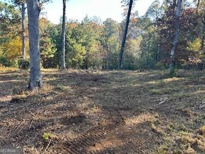 Lot 36 Crestview Lane, Jackson GA 30233