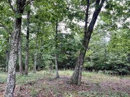 0 Timber Rock Drive