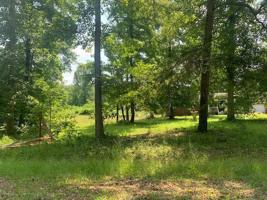 119 Willow Drive