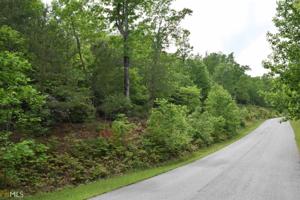 Lot 250 South Laceola Rd