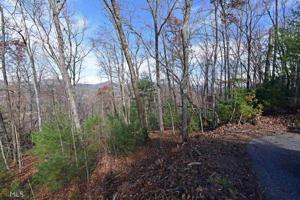 Lot 16 Brody Ln