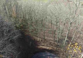 Lot 17 Palmer Pl