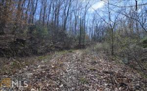 Old Highway 64 E