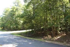 Lot 37 Indian Bend Trl
