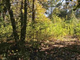 5920 5920 SE Dogwood Dr