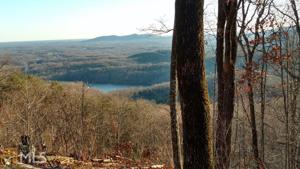 Lot 223 Stone Cliff Trce