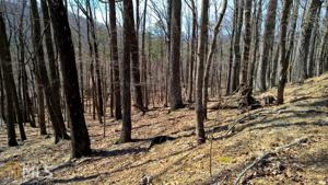 Lot 454 Little Pine Mountain Rd