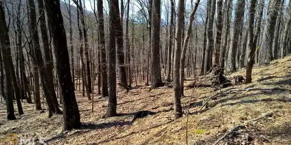 Lot 454 Little Pine Mountain Rd