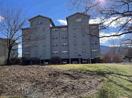 3242 Holland Court