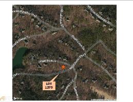 75 75 Goldfinch Lot 1275