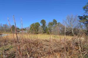 Lot 1 Lakeview Dr