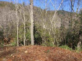 Lot MAP 7,E 30 Soapstone Creek Cir