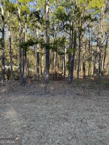 222 Persimmon Drive, Hartwell GA 30643