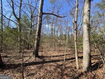 Lot 6 Majestic Shores Road, Hartwell GA 30643