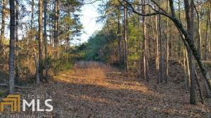 4.771ac  Winter Ln Lot 4.771ac