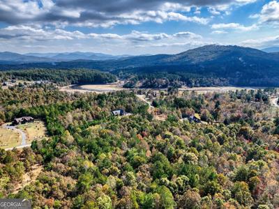 LOTS 42 AND 43 Northshore, Blairsville GA 30512