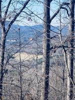 LOT 25 Harris Ridge Road