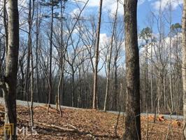 227  Doll Mountain Rd Lot 227
