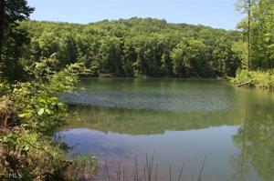 Northshore Dr Lot 200