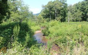 Lot 1 Scataway Rd