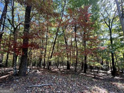 0 Oglethorpe Mountain Road