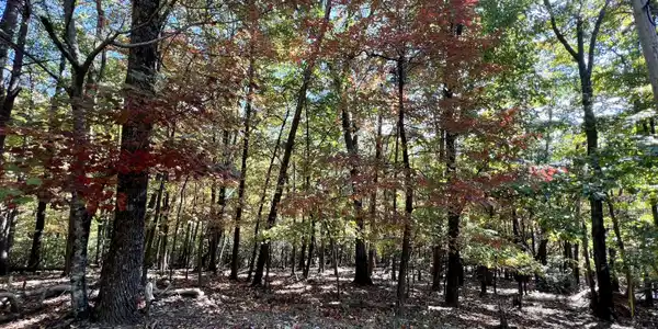 0 Oglethorpe Mountain Road